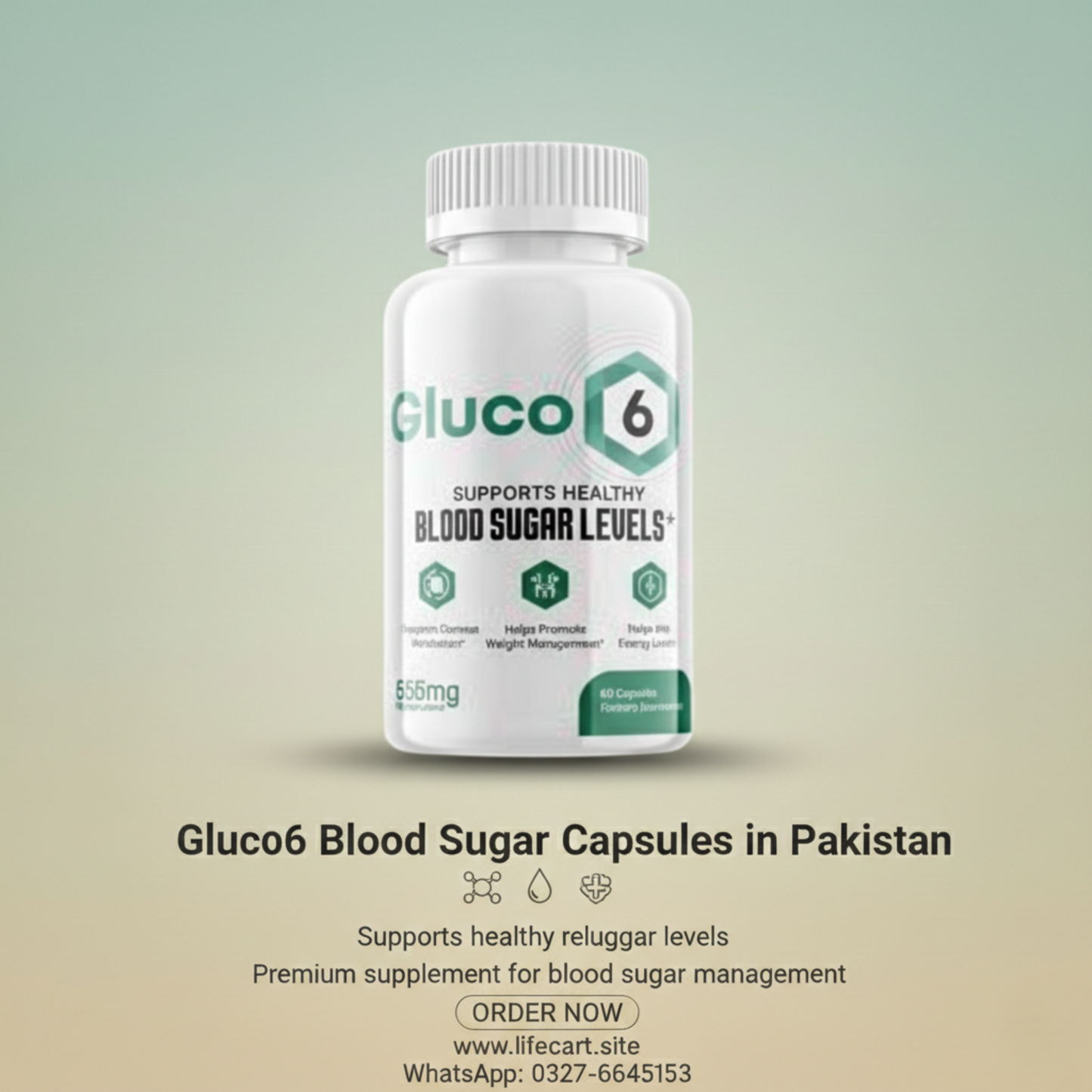 Gluco6 Blood Sugar Capsules