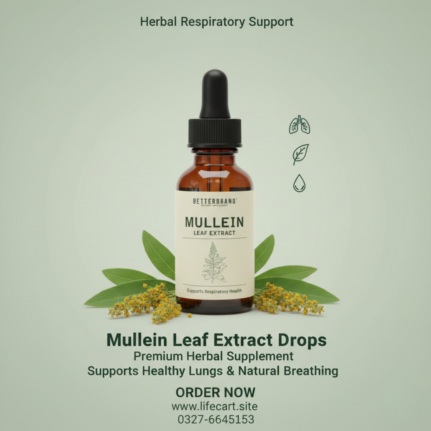 Mullein Leaf Extract Drops